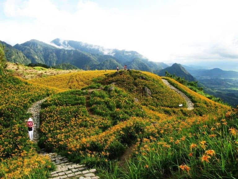 Chemin de montagne avec de l'herbe