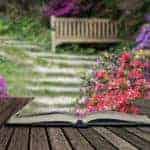 Azalés et paysage bucolique qui sortent d'un livre ouvert