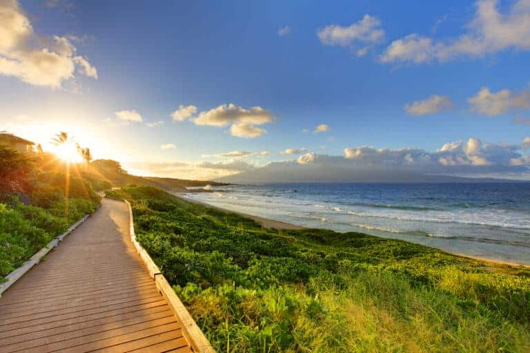 Chemin du bord de mer à Maui, Hawaii. Amazing nature.