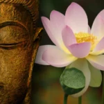 Les Chakras, le Jardin de Dieu Une statue de Bouddha et une fleur de lotus créent une ambiance harmonieuse et sereine, soulignant l'équilibre entre spiritualité et pleine conscience.