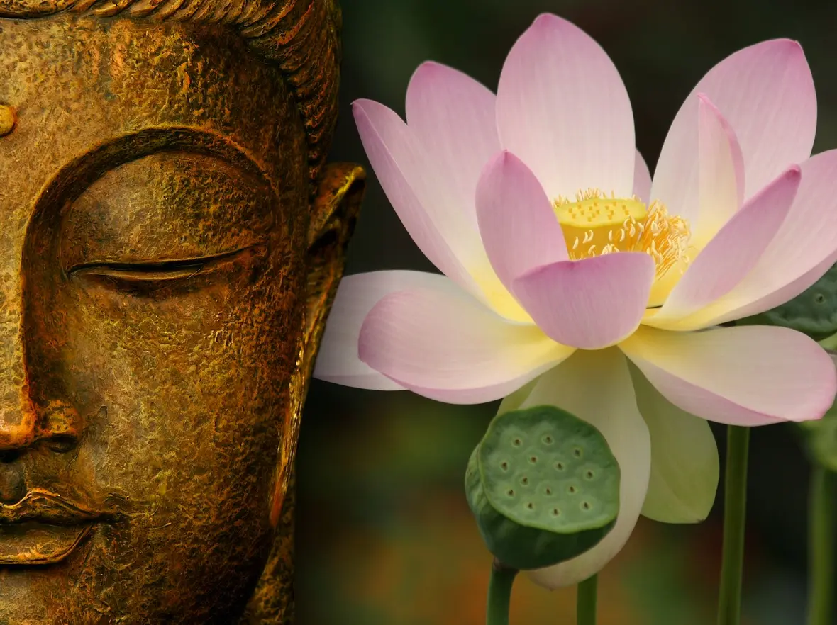 Une statue de Bouddha et une fleur de lotus créent une ambiance harmonieuse et sereine, soulignant l'équilibre entre spiritualité et pleine conscience.