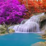 Une cascade sereine se jette dans une eau turquoise vibrante, entourée d'un feuillage luxuriant. Les feuilles affichent des couleurs vives, avec des arbres présentant des teintes violet vif et rouge ardent. La scène est à la fois tranquille et saisissante, illustrant les bienfaits inestimables d’un paysage naturel époustouflant et coloré.