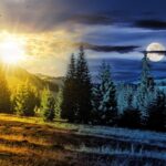 Un paysage vivant montrant une forêt divisée en jour et nuit. À gauche, un soleil éclatant brille sur les arbres ensoleillés et le terrain herbeux, évoquant l'essence de l'Équinoxe d'Automne, tandis qu'à droite, une pleine lune projette une lueur bleue sur la scène, illuminant les arbres givrés. Le ciel passe en douceur de la lumière du jour à une nuit étoilée.