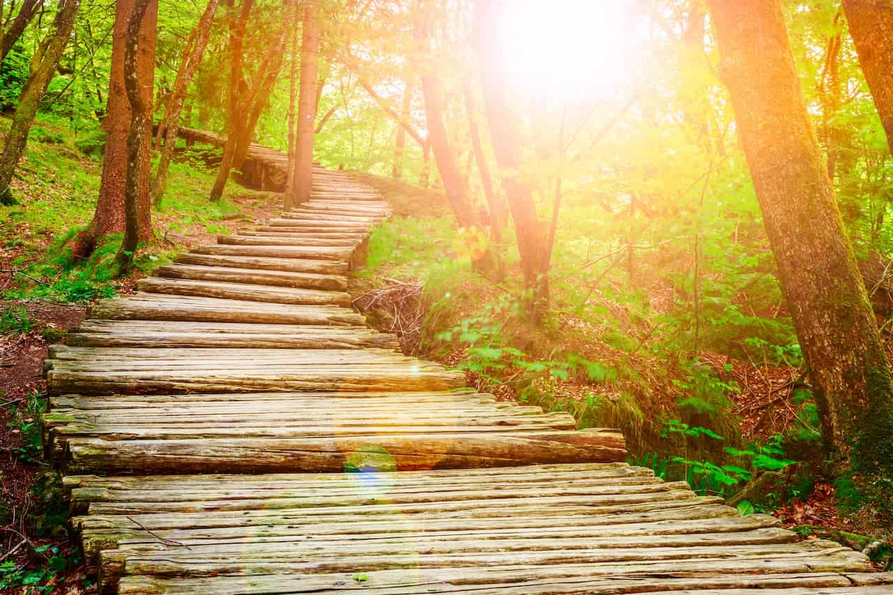 Une forêt ensoleillée présente un escalier en bois en colimaçon dont les marches sont constituées de rondins de bois rustiques et irréguliers. Des arbres aux feuilles vertes luxuriantes entourent le chemin et la lumière du soleil filtre à travers, projetant une lueur chaleureuse et un effet de reflet. La scène transmet un sentiment de tranquillité et de beauté naturelle, invitant à penser aux Yoga Siddhis.