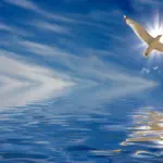 Le Chemin du Kriya Une mouette s'élève gracieusement dans un ciel bleu vibrant, les rayons du soleil créant un halo lumineux autour de ses ailes. Comme pour éveiller une nouvelle conscience, de fins nuages blancs s'étendent au-dessus de la mer tranquille, qui reflète la scène comme une toile vivante des principes de la nature.