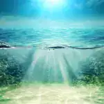 Le Cycle des Kriya Yoga Upanishads La lumière du soleil traverse l'eau bleue claire, illuminant le fond sablonneux de l'océan - un véritable Océan Macrocosmique. Des bulles s'élèvent tandis que de douces vagues ondulent au-dessus, et l'éclat du ciel rehausse cette scène sous-marine vibrante et paisible.