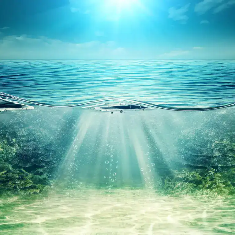 La lumière du soleil traverse l'eau bleue claire, illuminant le fond sablonneux de l'océan - un véritable Océan Macrocosmique. Des bulles s'élèvent tandis que de douces vagues ondulent au-dessus, et l'éclat du ciel rehausse cette scène sous-marine vibrante et paisible.