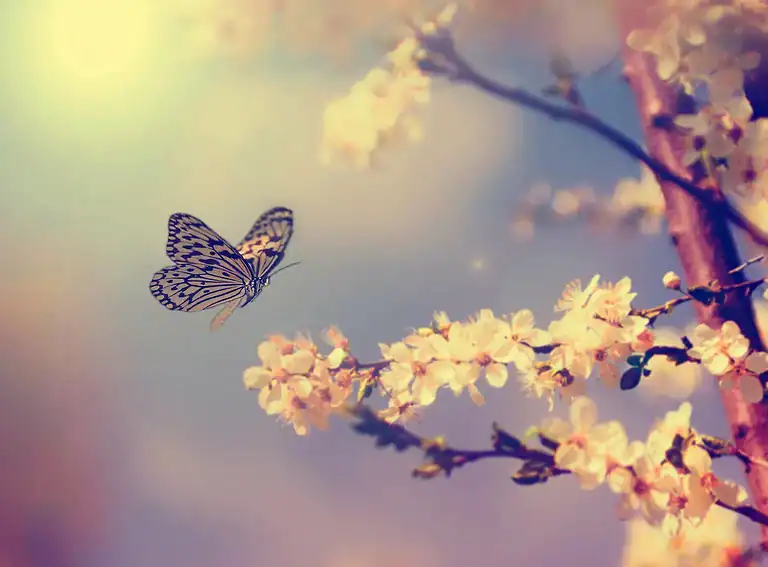 Un papillon délicat aux ailes à motifs plane près de fleurs épanouies sur de fines branches, sur un fond pastel - évoquant une atmosphère printanière et rêveuse rappelant Rêves Lucides et le doux flux de Vies Futures.