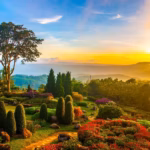 Un jardin vibrant au lever du soleil présente des pelouses verdoyantes, des buissons taillés, des parterres de fleurs colorés, de grands arbres et de lointaines collines ondulantes. La lumière dorée du soleil remplit le ciel, projetant une lumière chaude et mettant en valeur la beauté naturelle de ce Jardin de Dieu.