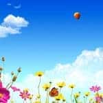 Fleurs, ciel et nuages, karma