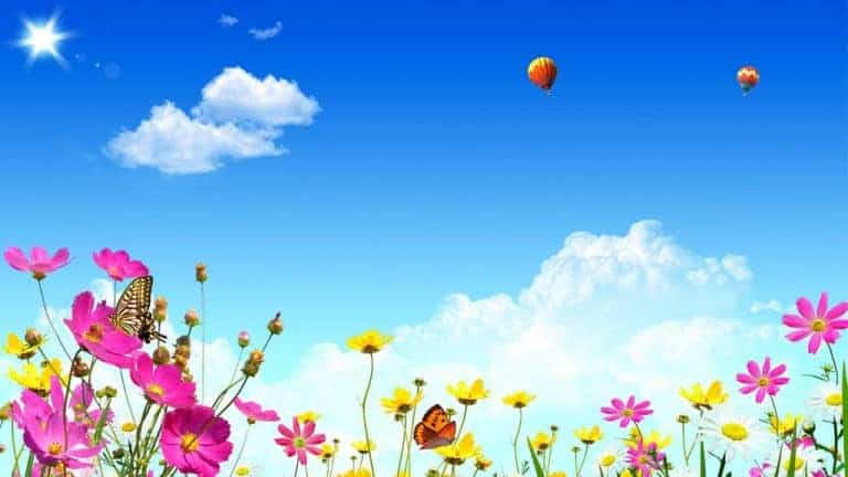 Fleurs, ciel et nuages, karma