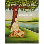 Couverture du Kriya Bindu