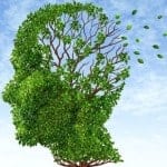 désidentification, mémoire qui s'envole comme les feuilles d'un arbre