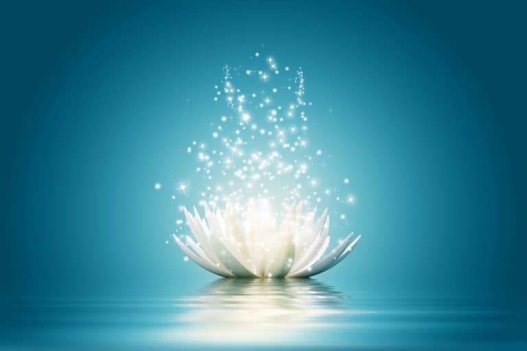 Eveil du lotus, étincelles de lumière