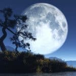 Mantra : Jaya Nouvelle lune, paysage d'un arbre