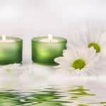 Deux bougies vertes et marguerites blanches sur fond blanc.
